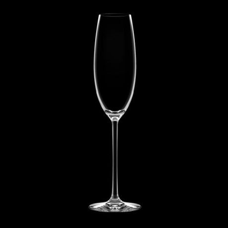 Lavish Champagne Glass 245ml
