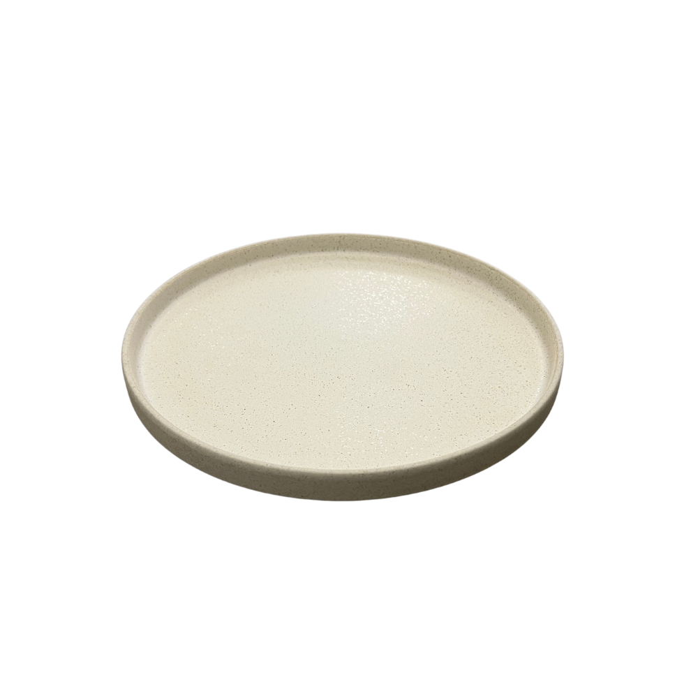 Night & Day Flat Plate 10.25" | 26 cm
