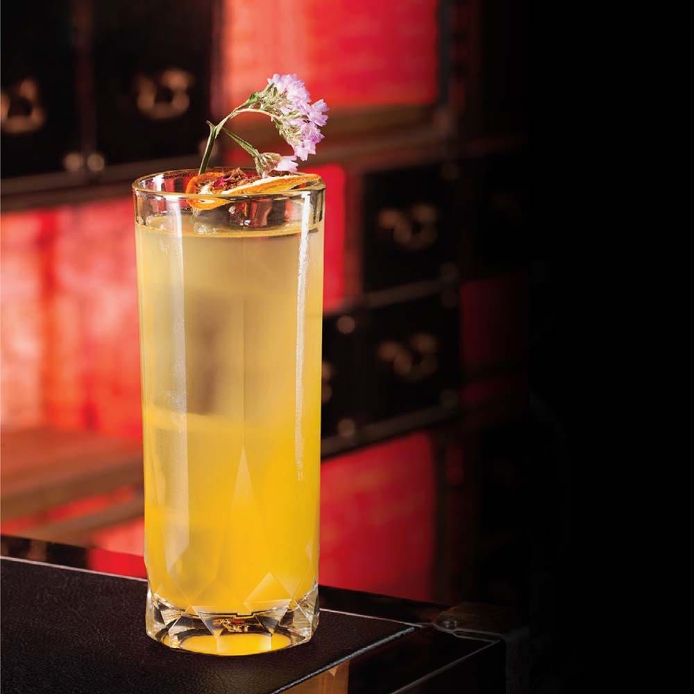 Connexion Long Drink Glass 15oz | 430ml (Set of 6)