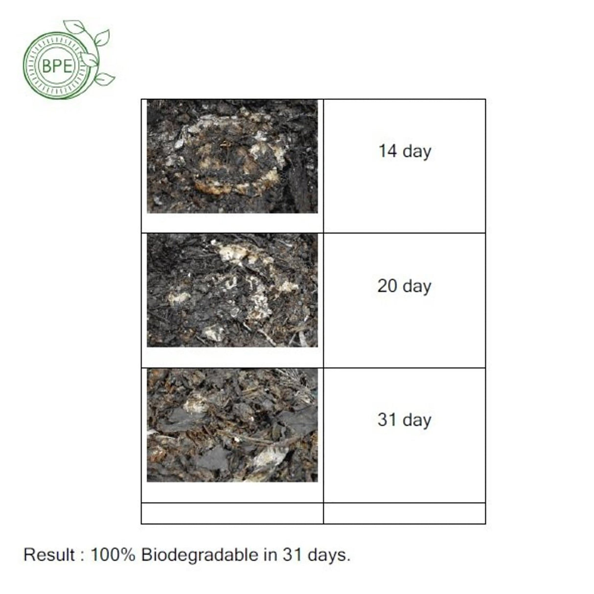 6 吋碗 100% 可生物降解(10 件/包 x 3)