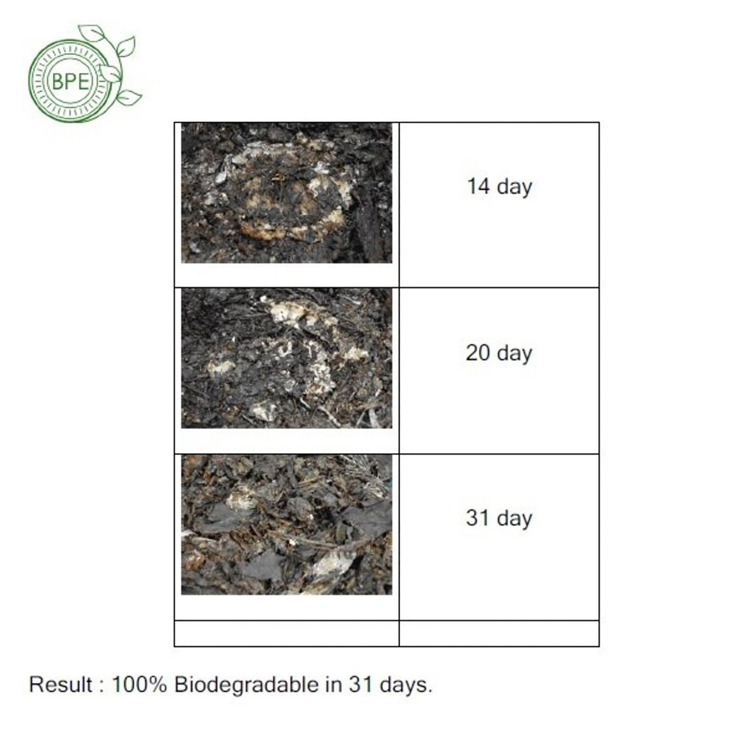 6 吋碗 100% 可生物降解(10 件/包 x 3)