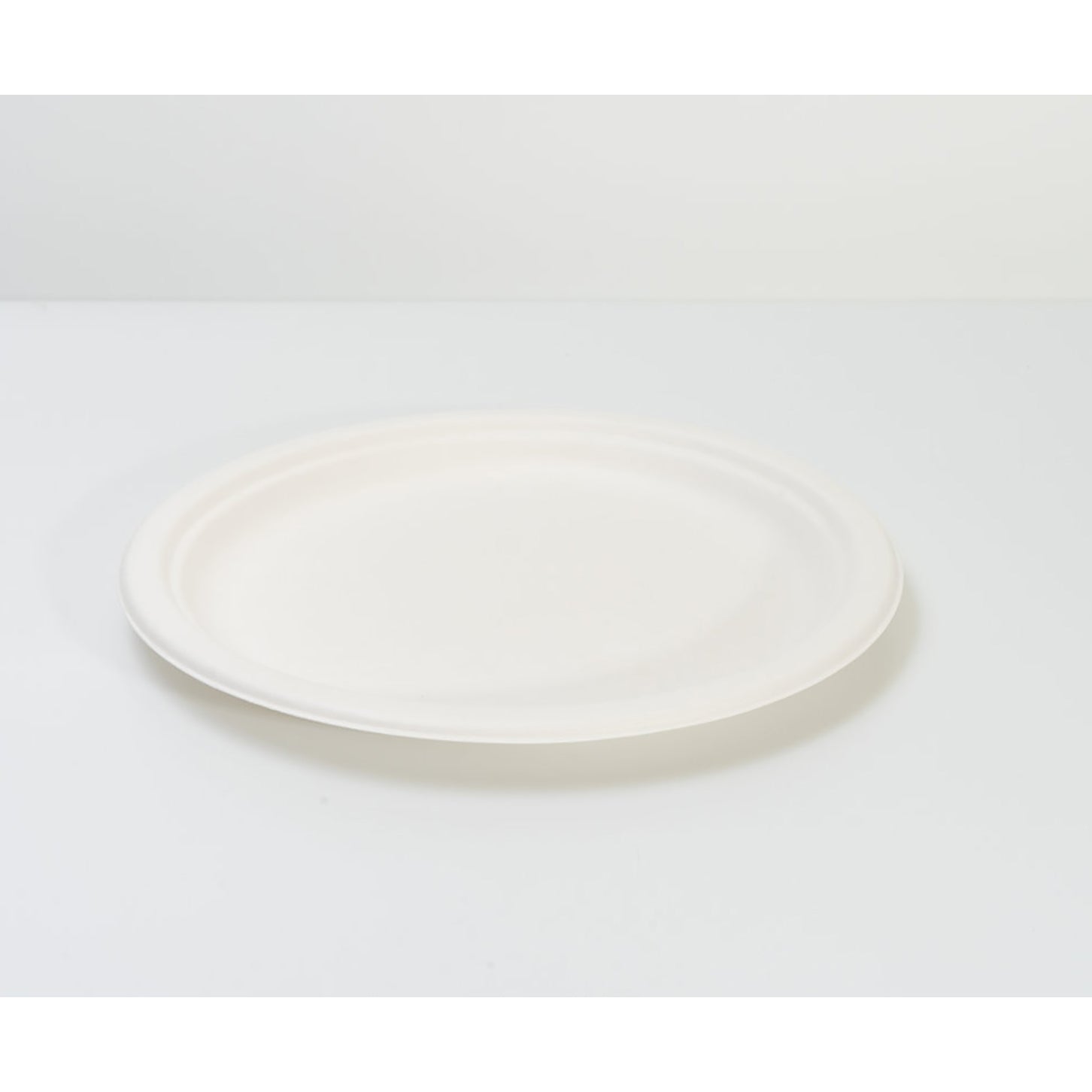 10" 盤子 100% 可生物降解(10 件/包 x 3)