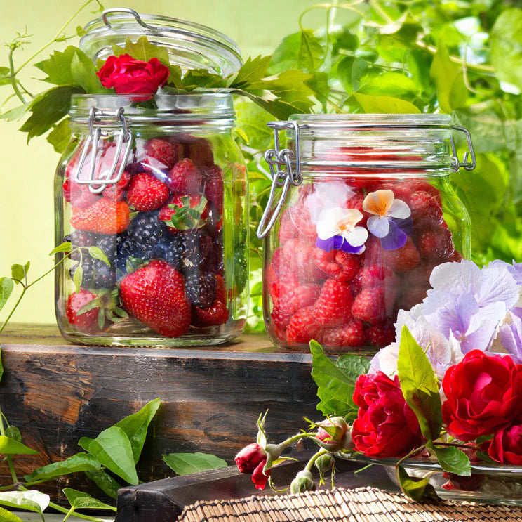 FIDO 罐 750ml(2 件)