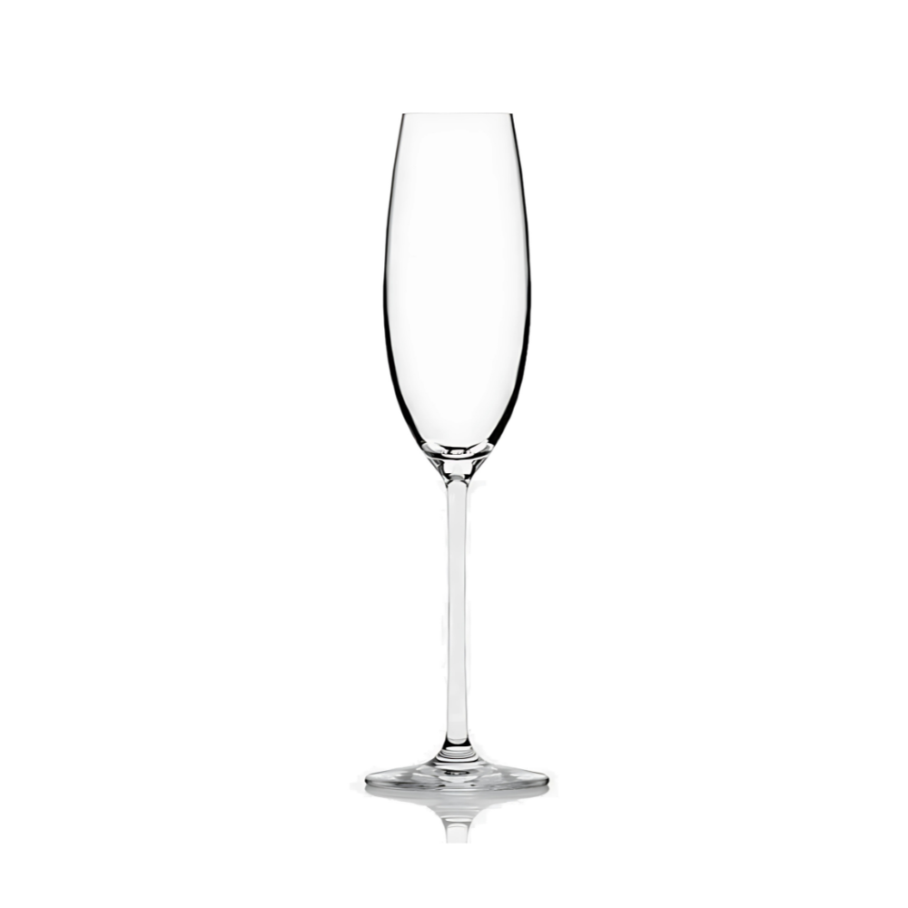 Lavish Champagne Glass 245ml