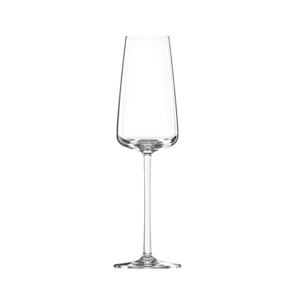 Muse Champagne Glass 295ml