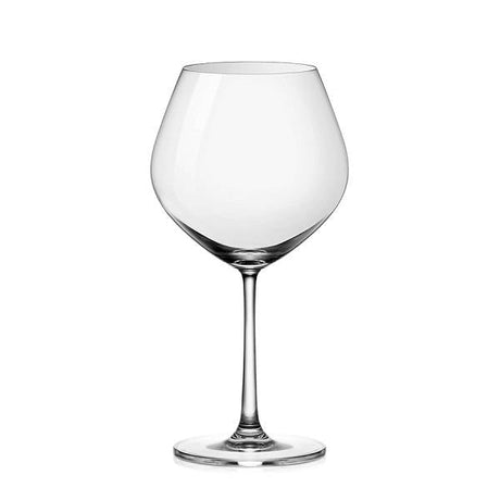 Sante Burgundy Wine Glass Set (Set of 2)