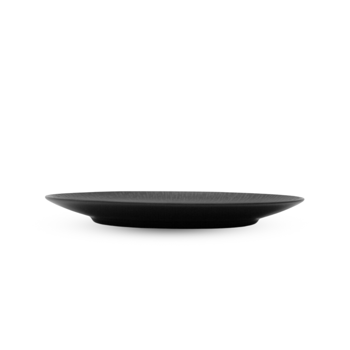 Linea Plate 11" | 28.5 cm
