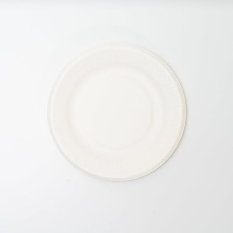 6 吋盤 100% 可生物降解（10 件/包 x 3）