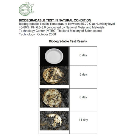 10" 盤子 100% 可生物降解（10 件/包 x 3）