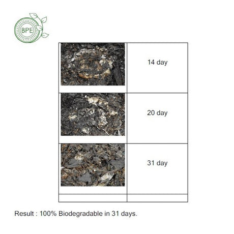 10" 盤子 100% 可生物降解（10 件/包 x 3）