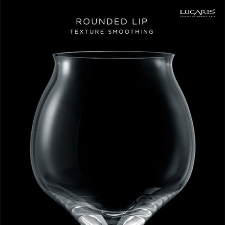 THE Elements Explorer 手工酒杯（5 件組）