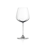 Desire Rich White Wine Glass 485ml (Set of 2)